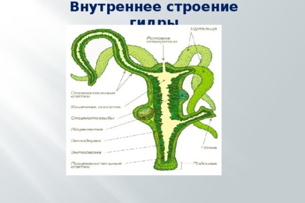 Кракен маркет даркнет только через стор