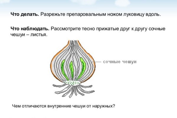 Кракен ссылка стор