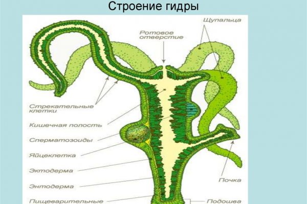 Ссылки в тор