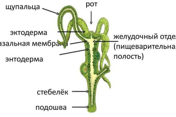 Kraken darknet ссылка тор