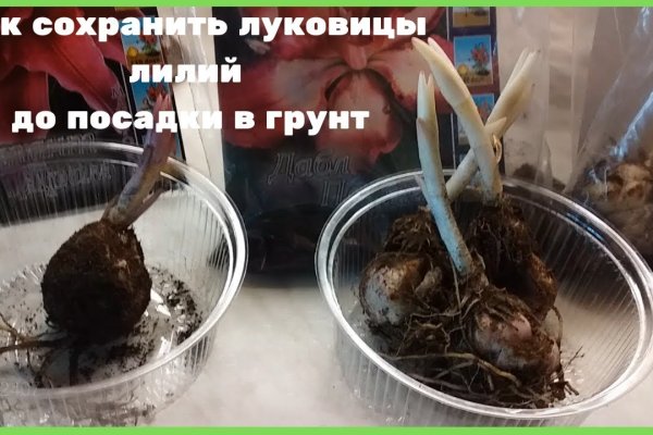 Купить наркотики онлайн